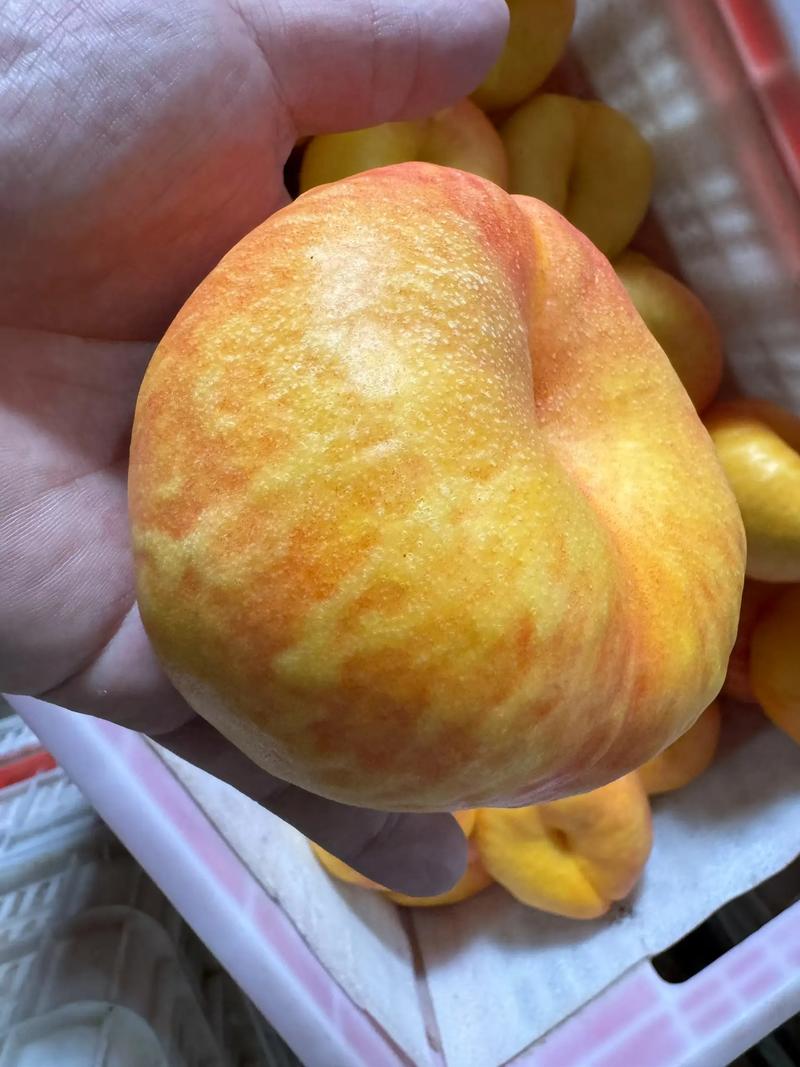 快消品配送行业动态：如何在竞争中突围