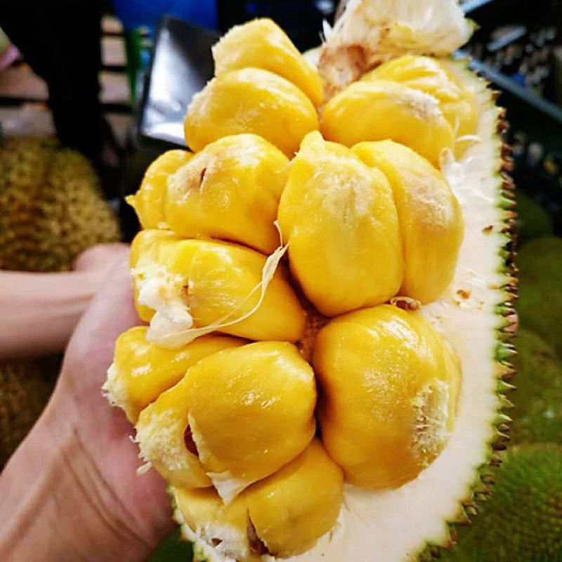 海南特产代发