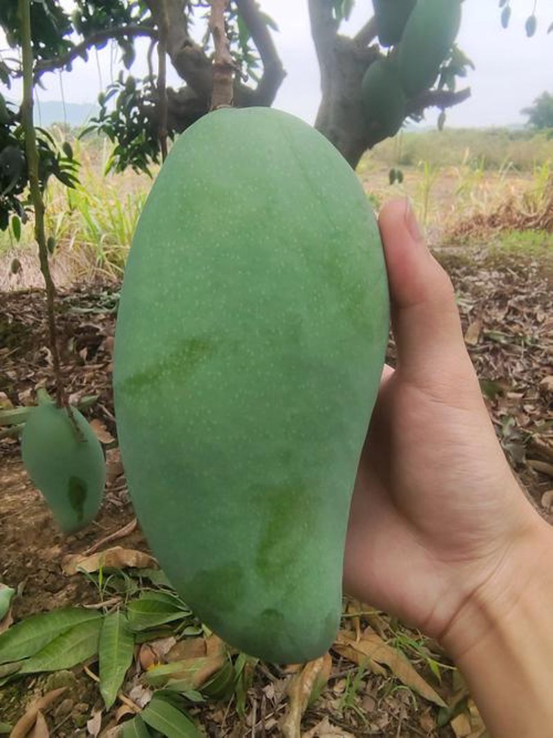 快消品选购指南：轻松搞定日常生活的配送难题
