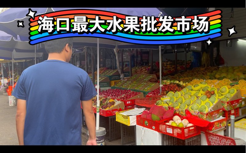 海口批发市场代采